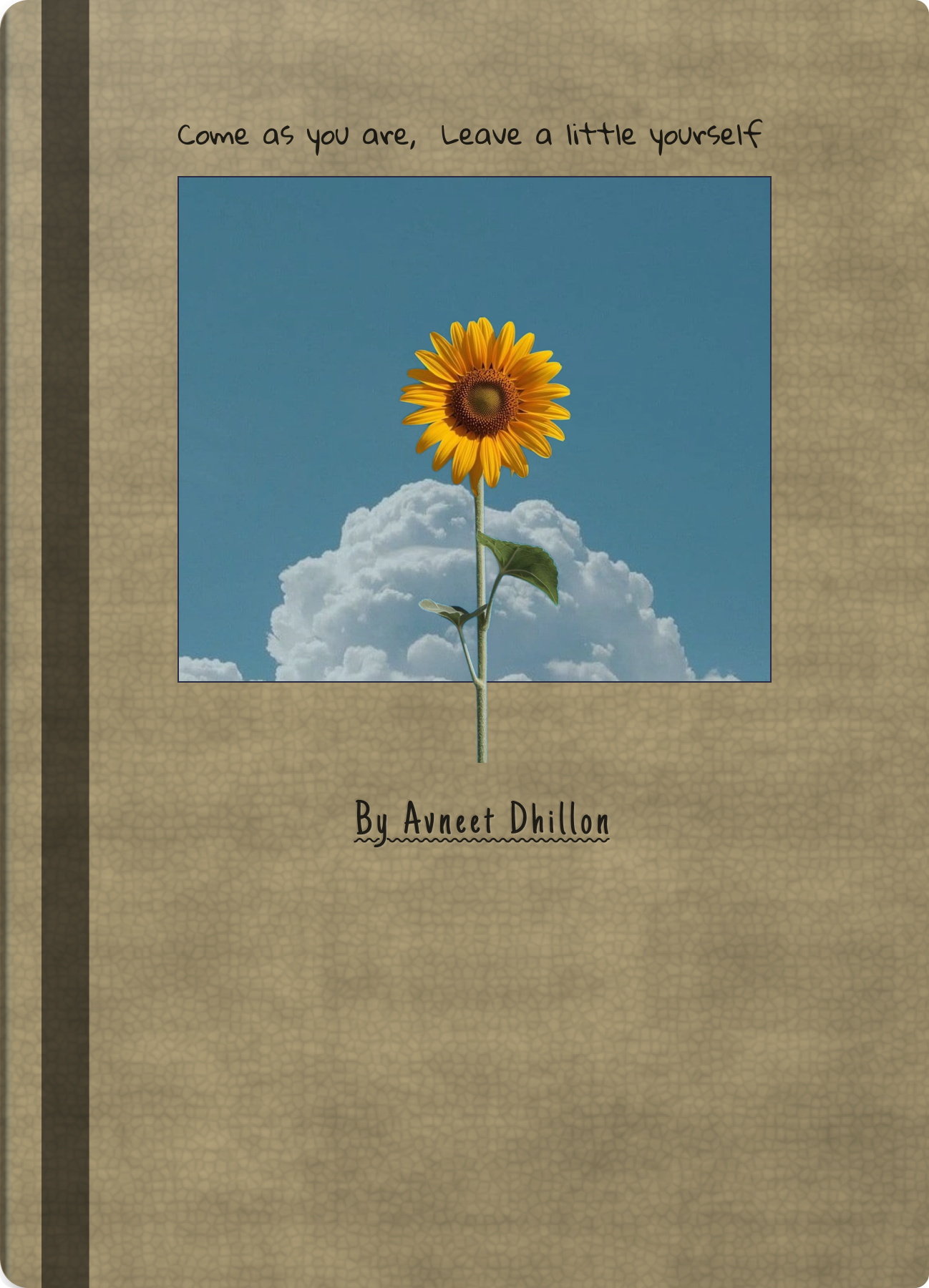 Cover for Main Asset